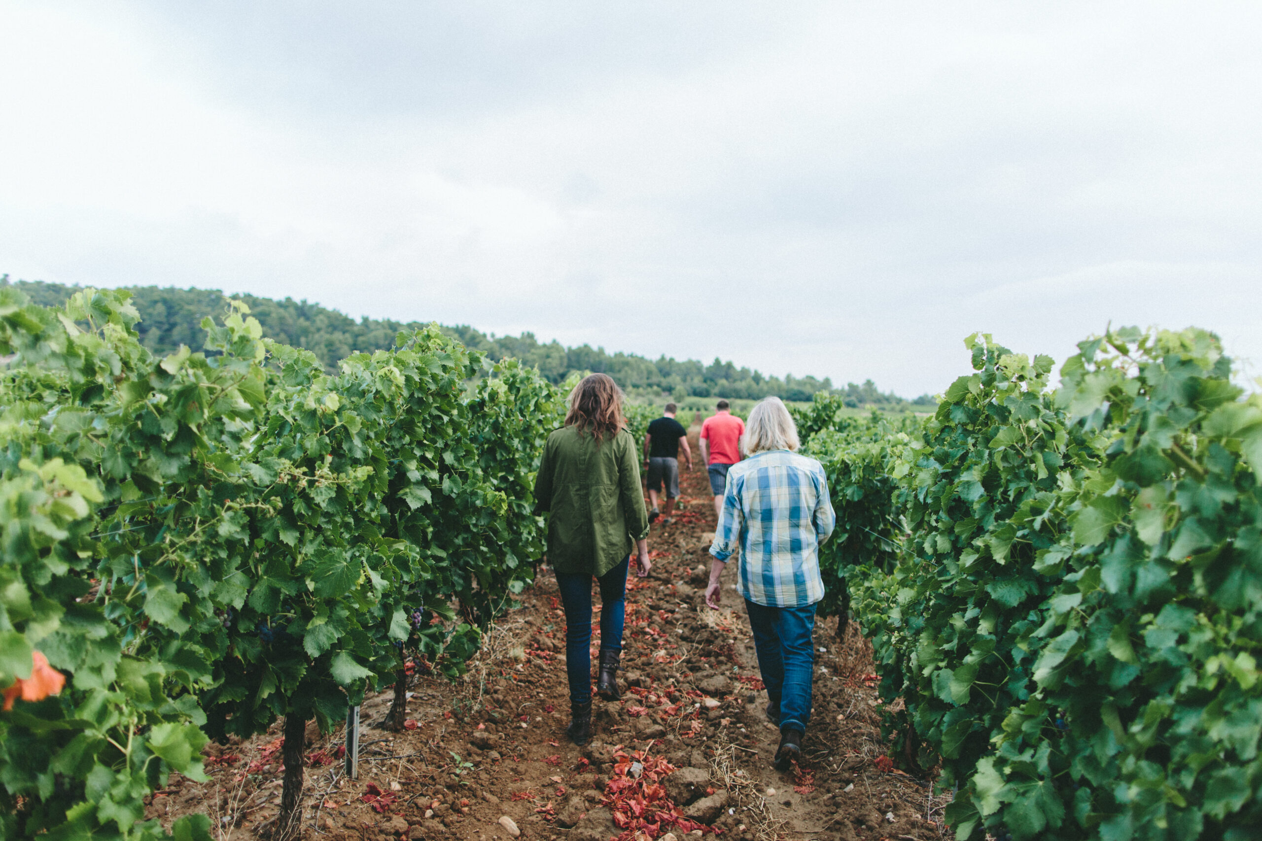 Ventes et dégustation de vins du Minervois au Chateau de Paraza par la famille Danglas