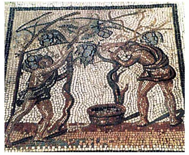 vine pruning early 3rd century